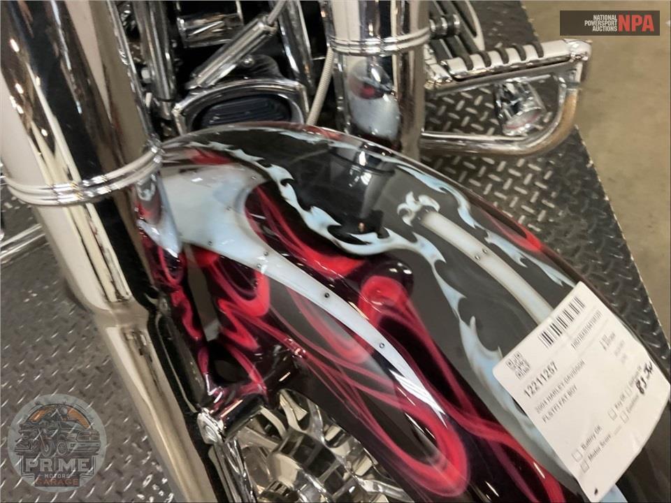 2004 Harley-Davidson FLSTFI FAT BOY — фото 13