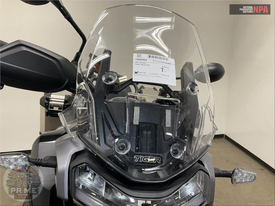 2023 Triumph TIGER 1200 GT PRO — фото 13