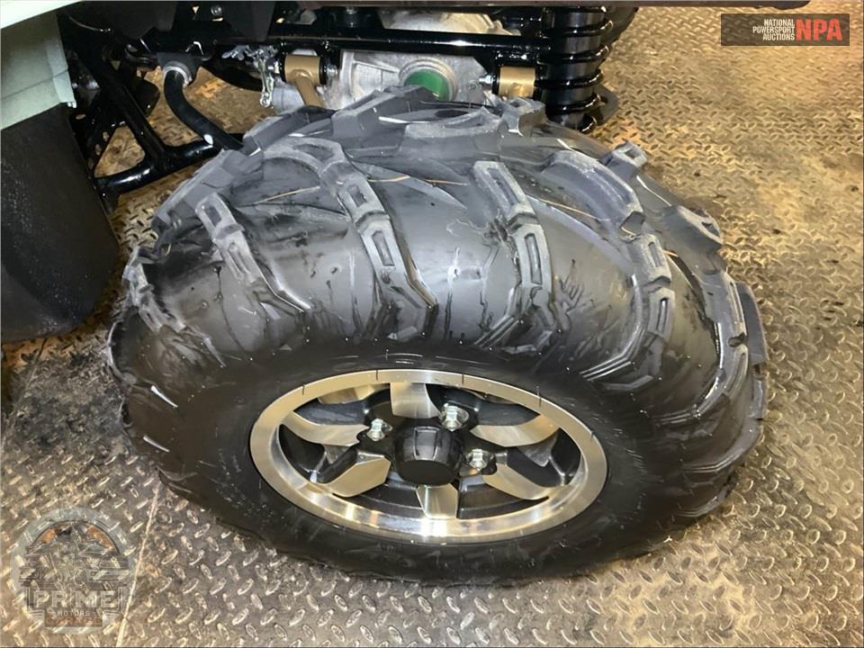 2024 Kawasaki BRUTE FORCE 750 EPS LE — фото 12