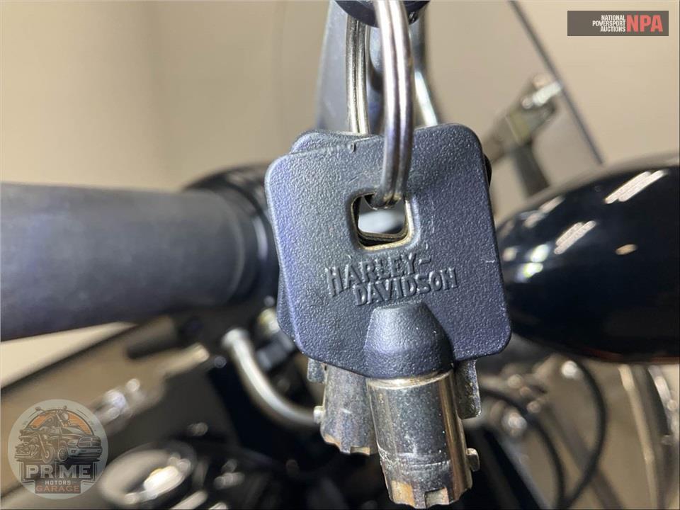 2015 Harley-Davidson FLS SOFTAIL SLIM — фото 14