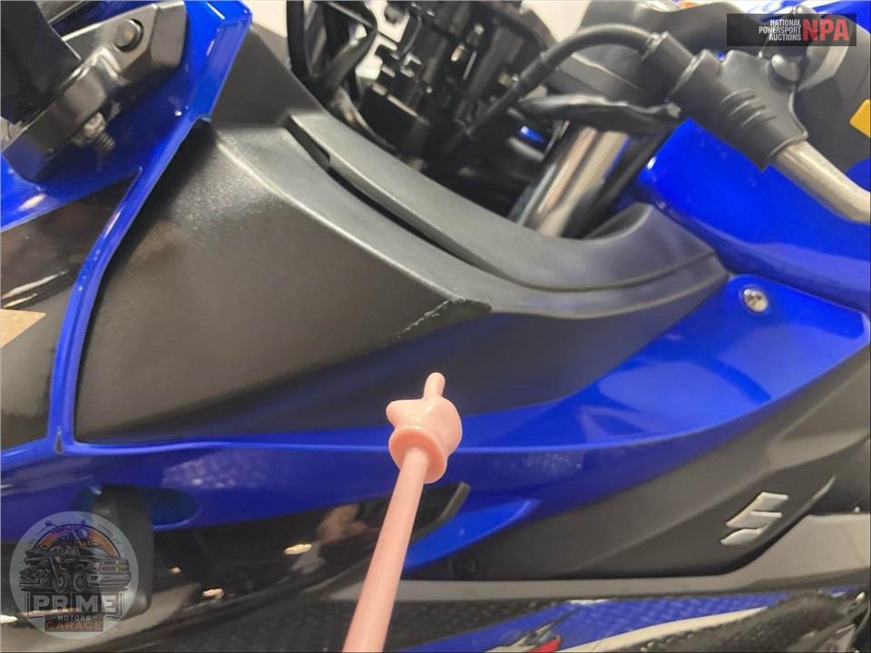2022 Suzuki GSX250RAM2 (ABS) — фото 13