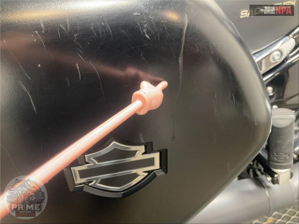 2020 Harley-Davidson FLSB SPORT GLIDE — фото 22