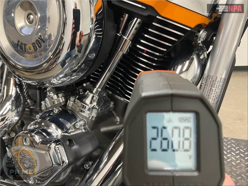 2025 Harley-Davidson FLSTFI SOFTAIL FAT BOY GRAY GHOST — фото 8