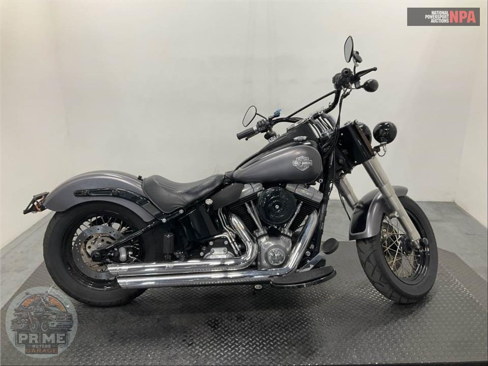 2014 Harley-Davidson FLS SOFTAIL SLIM — фото 1