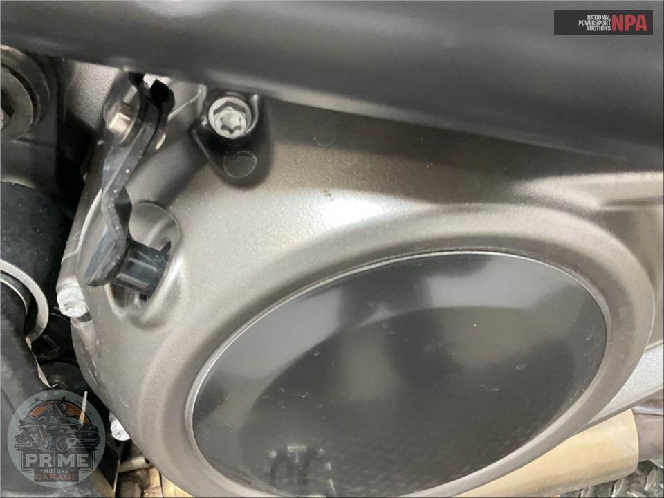 2024 Harley-Davidson RA1250S PAN AMERICA SPECIAL — фото 10