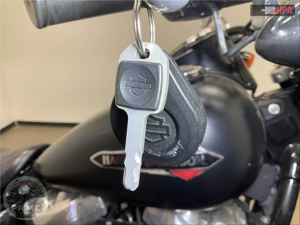 2020 Harley-Davidson FLSL SOFTAIL SLIM — фото 13