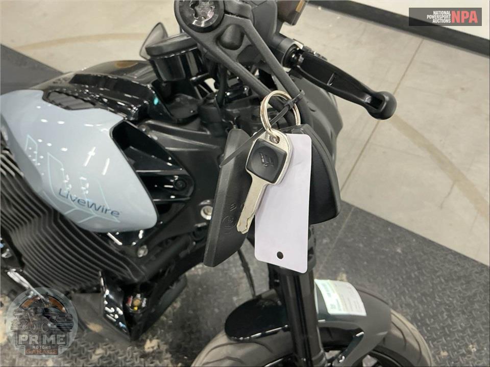 2025 Harley-Davidson S2 ALPINISTA — фото 16