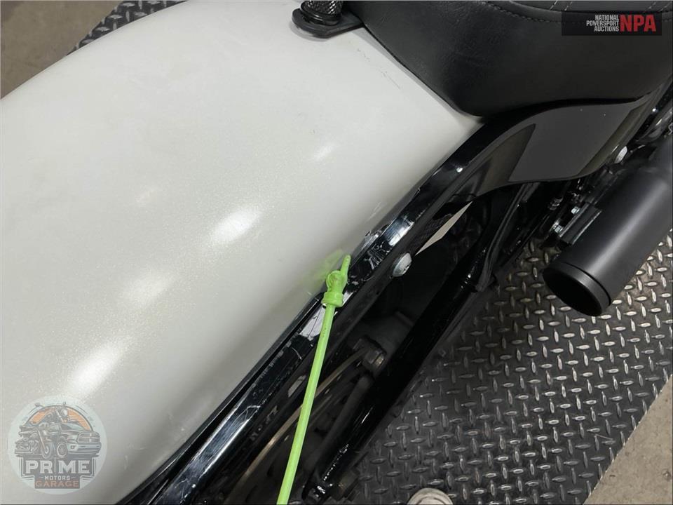 2018 Harley-Davidson FLSL SOFTTAIL SLIM — фото 17