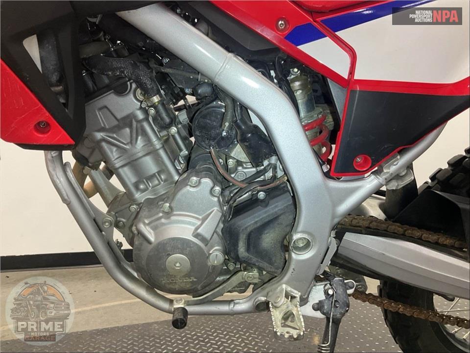 2025 Honda CRF300LA (ABS) — фото 7