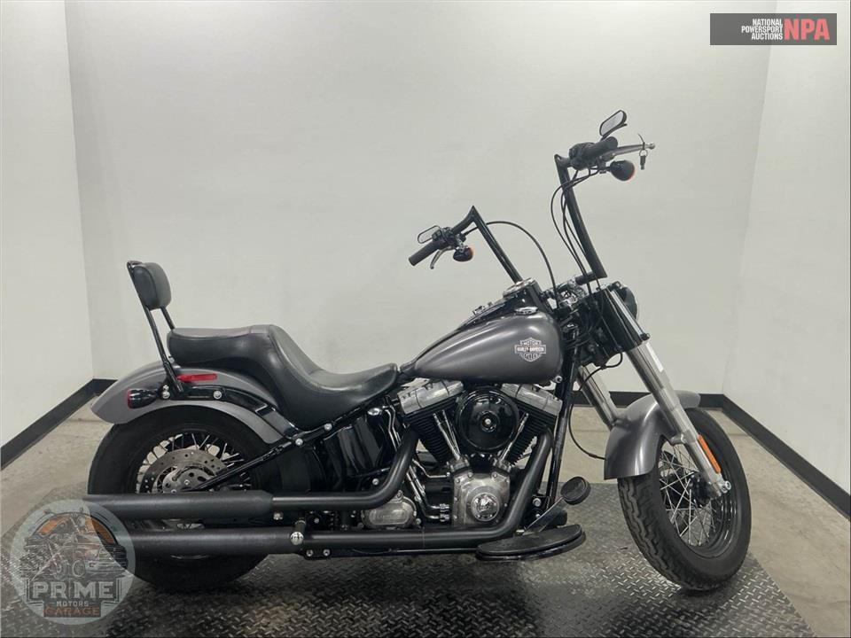 2015 Harley-Davidson FLS SOFTAIL SLIM — фото 1