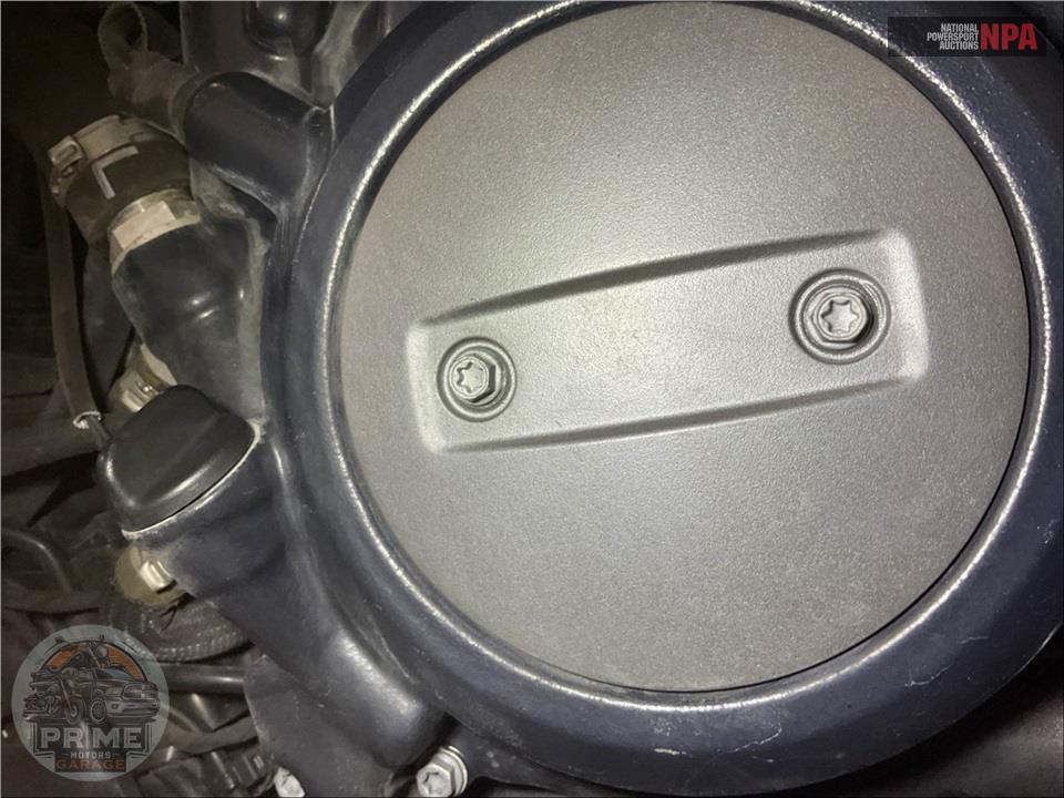 2025 Harley-Davidson RA1250ST PAN AMERICA SPECIAL — фото 10