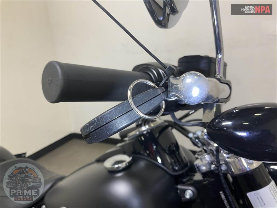2020 Harley-Davidson FLSL SOFTAIL SLIM — фото 10