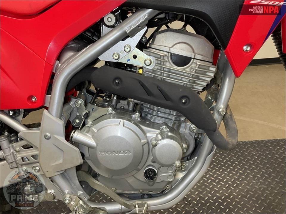 2025 Honda CRF250F — фото 6