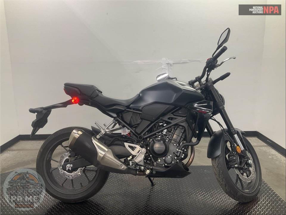 2025 Honda CBF300R (ABS) — фото 1