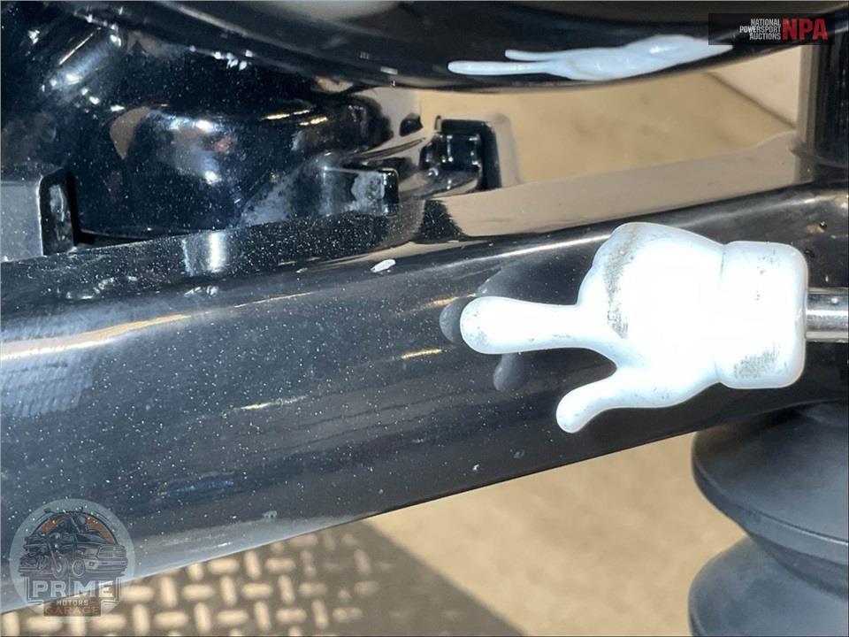 2021 Harley-Davidson XL1200NS IRON 1200 — фото 27