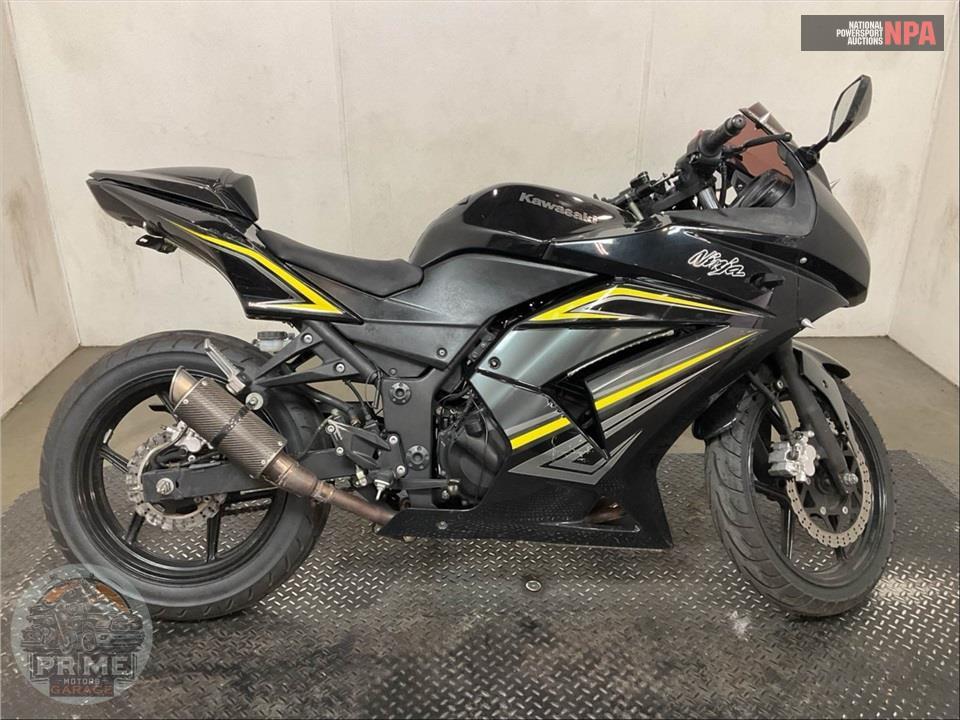 2012 Kawasaki EX250JCFA NINJA 250R — фото 1