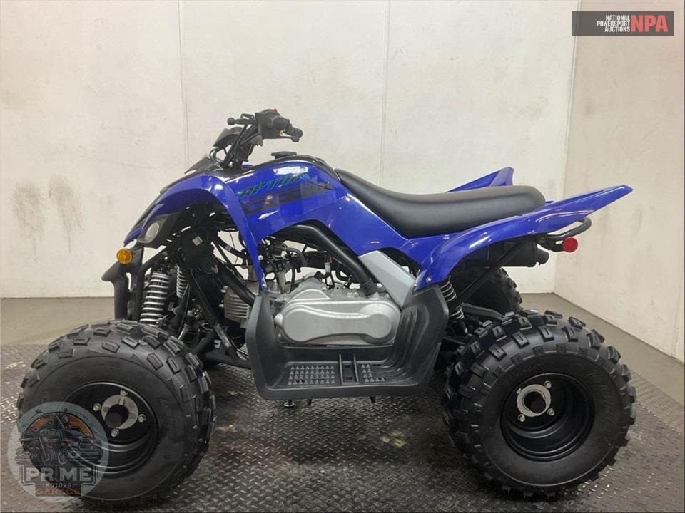 2025 Yamaha RAPTOR 110 — фото 3