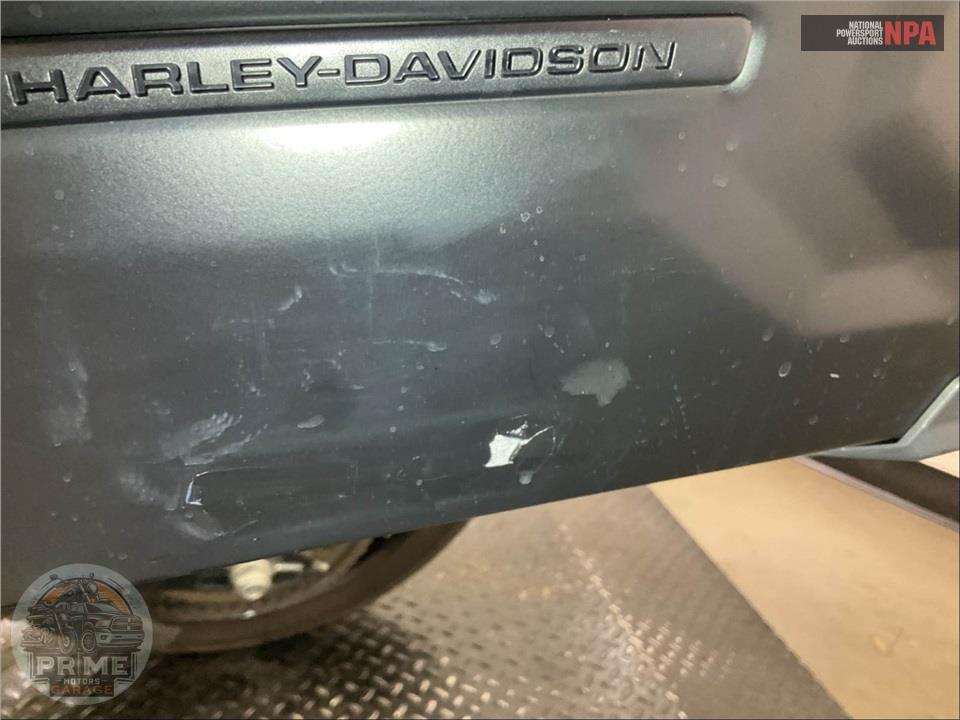 2025 Harley-Davidson RA1250SE CVO PAN AMERICA — фото 18