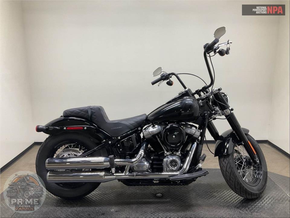 2019 Harley-Davidson FLSL SOFTAIL SLIM — фото 1