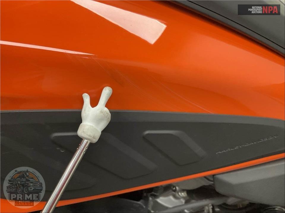 2021 Harley-Davidson RA1250S PAN AMERICA SPECIAL — фото 22