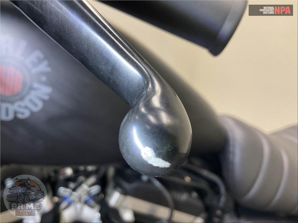 2020 Harley-Davidson XL883N IRON — фото 18