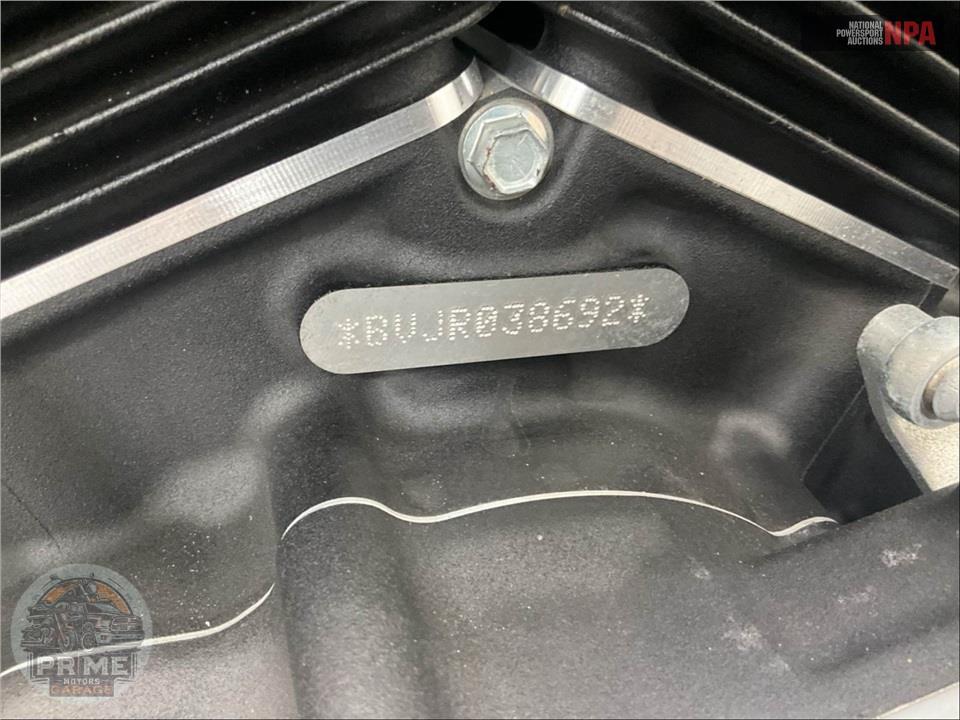 2024 Harley-Davidson FXST SOFTAIL STANDARD — фото 24