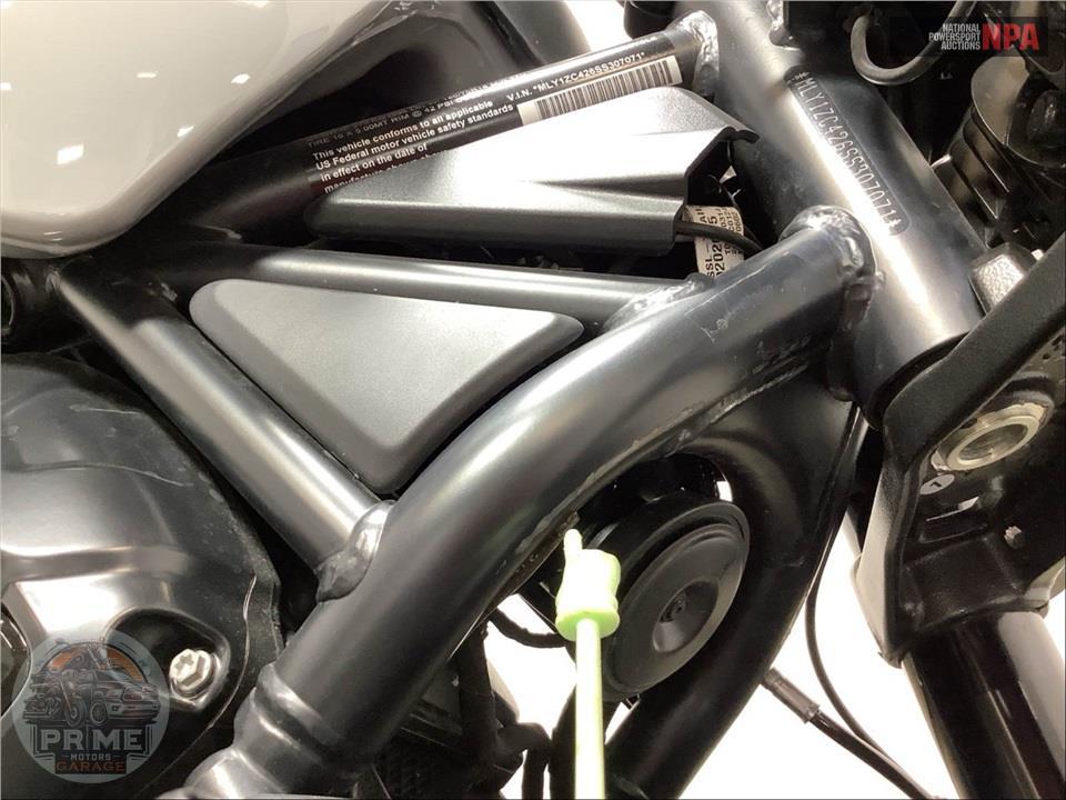 2025 Harley-Davidson RH1250S SPORTSTER S — фото 15