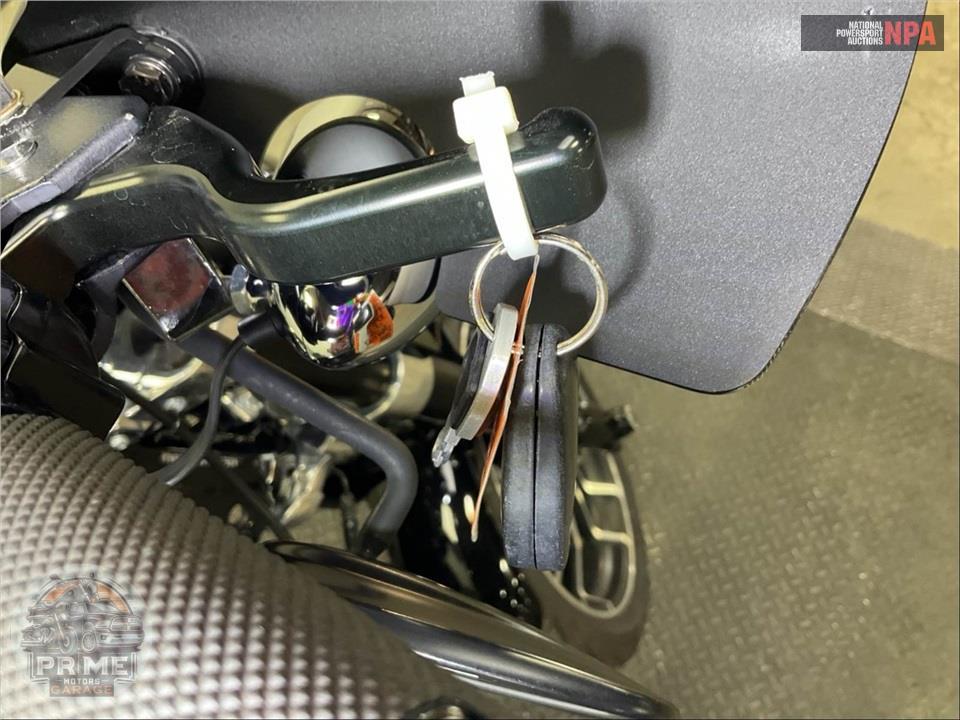 2019 Harley-Davidson FLSB SPORT GLIDE — фото 12