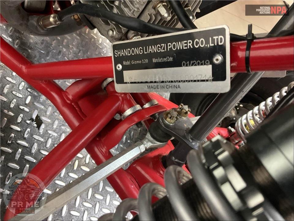 2019 Shandong Liangzi Power Co GIZMO 120 — фото 18