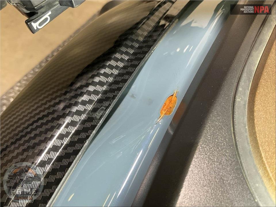 2024 Harley-Davidson RH1250S SPORTSTER S — фото 16
