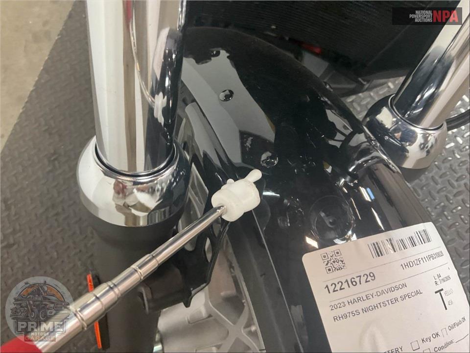 2023 Harley-Davidson RH975S NIGHTSTER SPECIAL — фото 15