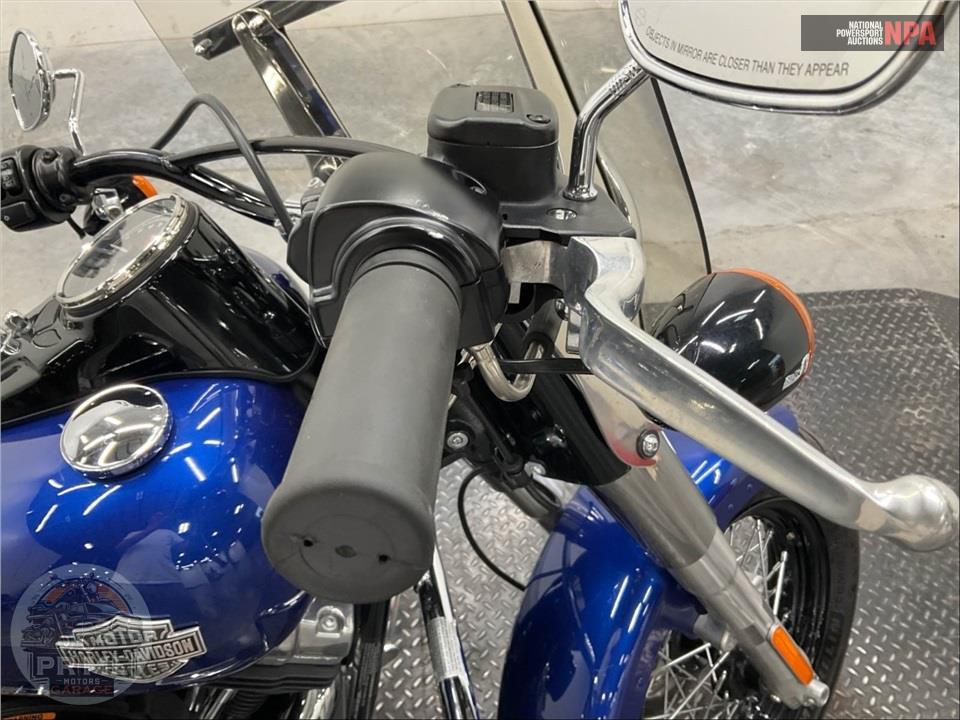 2015 Harley-Davidson FLS SOFTAIL SLIM — фото 11