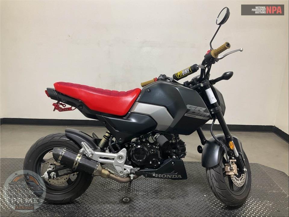 2025 Honda GROM — фото 1