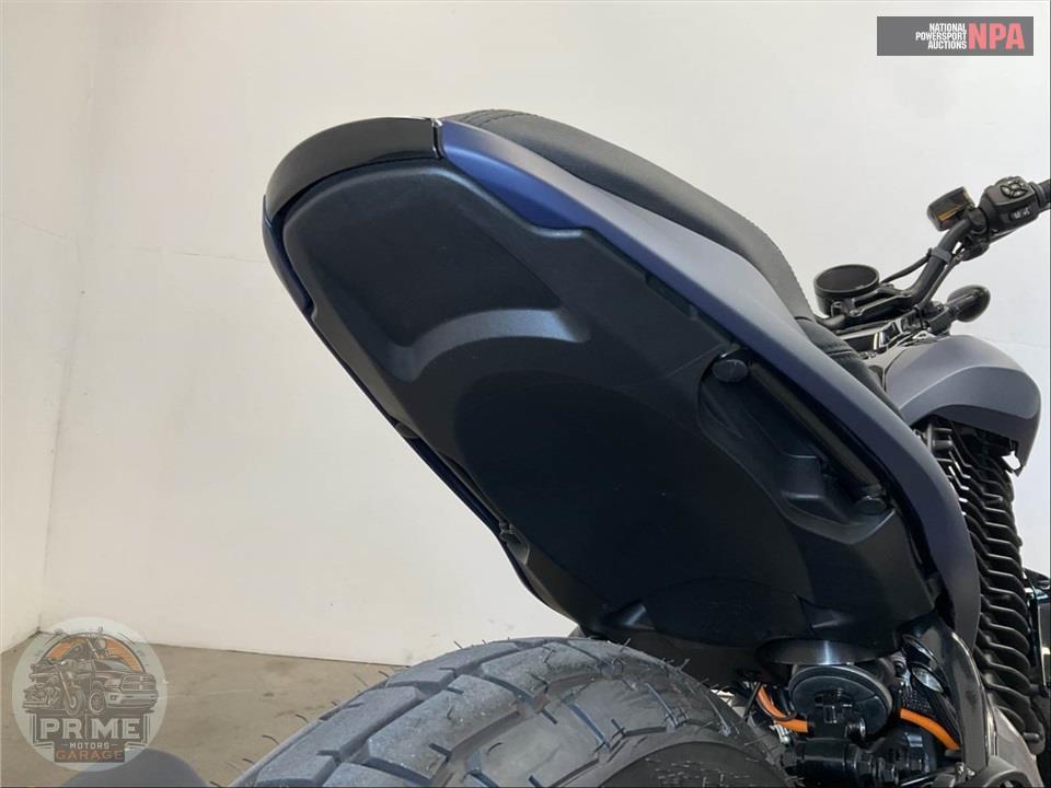 2024 Harley-Davidson S2DM LIVEWIRE S2 DEL MAR — фото 13