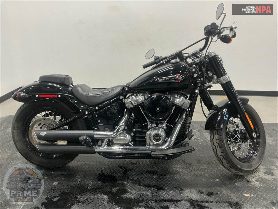 2019 Harley-Davidson FLSL SOFTAIL SLIM — фото 1