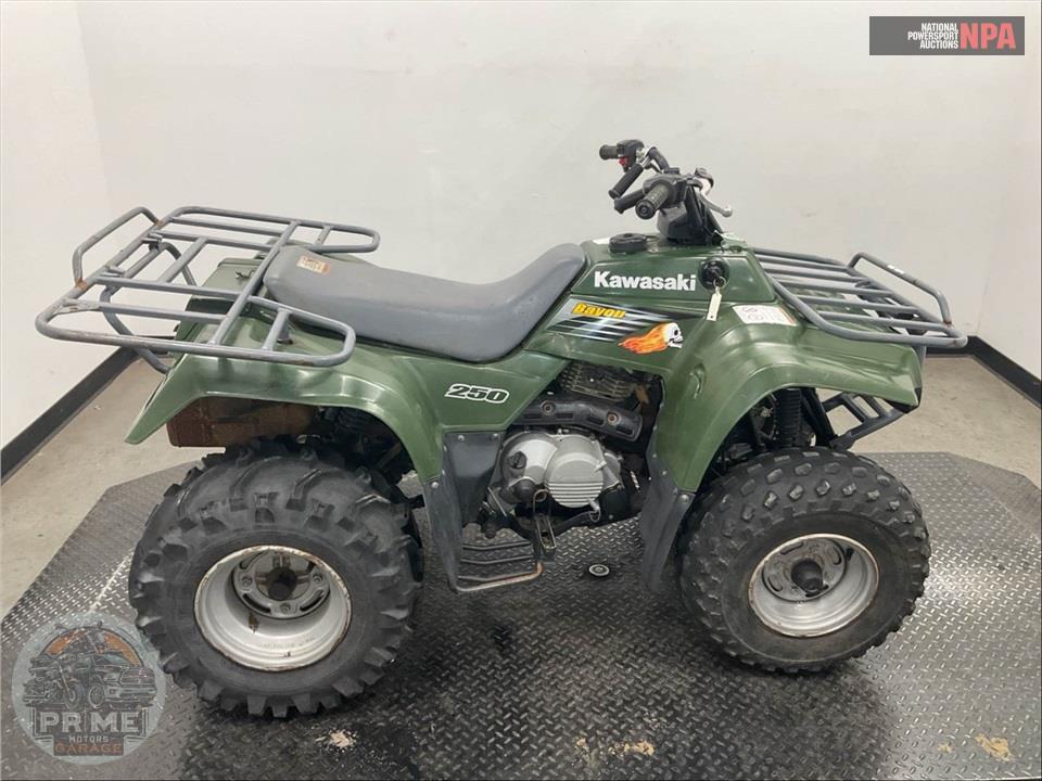 2003 Kawasaki KLF250A1 BAYOU — фото 1