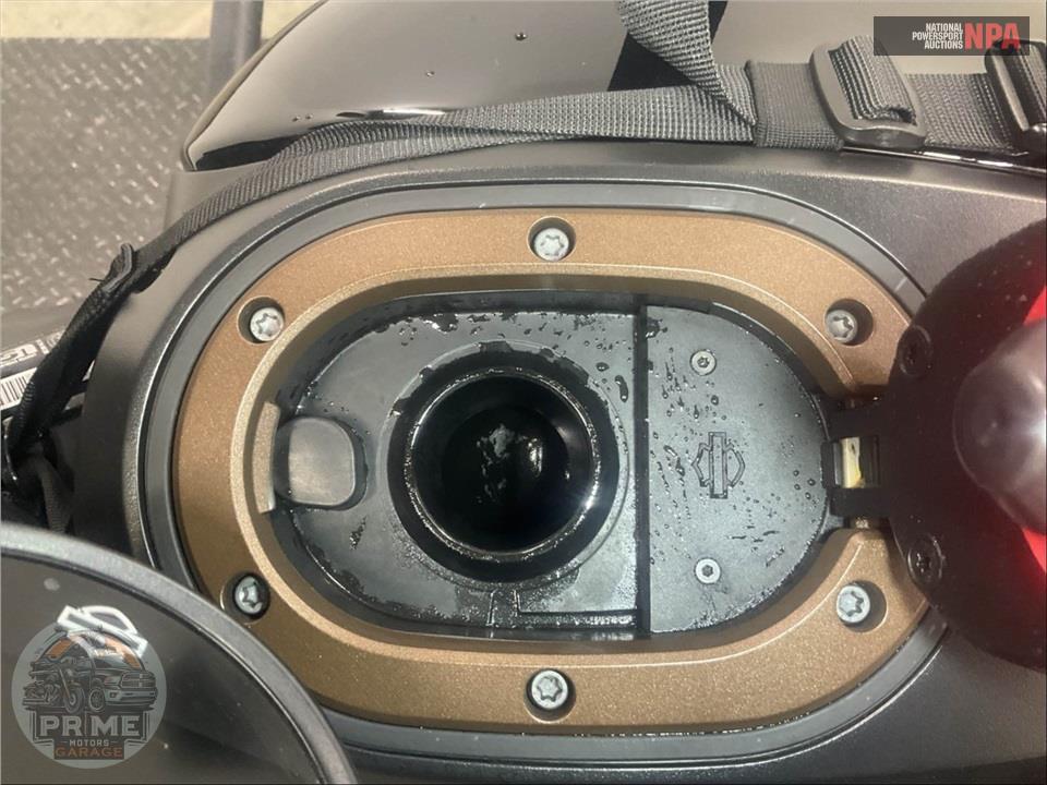 2023 Harley-Davidson RH1250S SPORTSTER S — фото 15