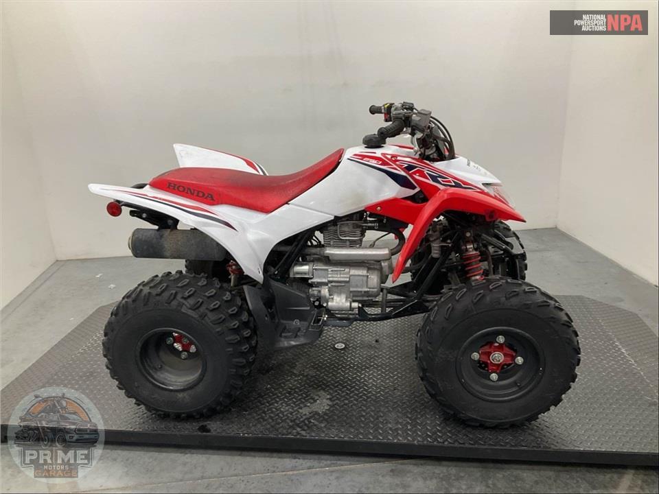 2024 Honda TRX250X — фото 1