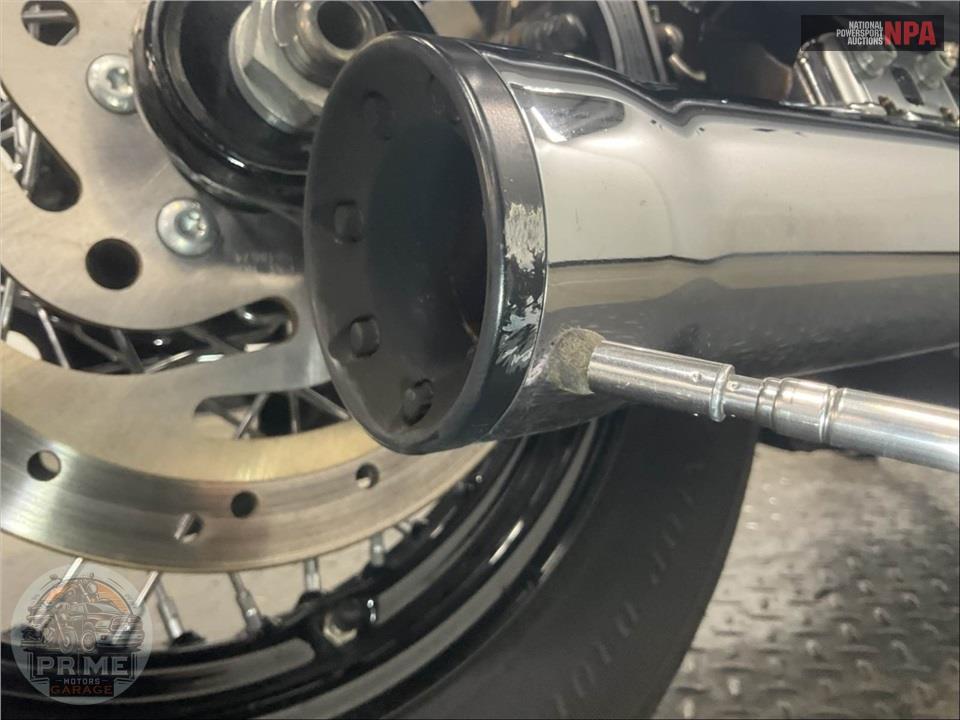 2021 Harley-Davidson FLSL SOFTAIL SLIM — фото 11