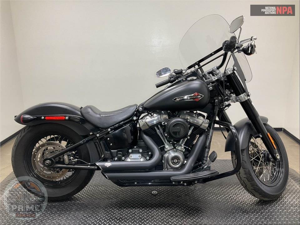 2018 Harley-Davidson FLSL SOFTTAIL SLIM — фото 1
