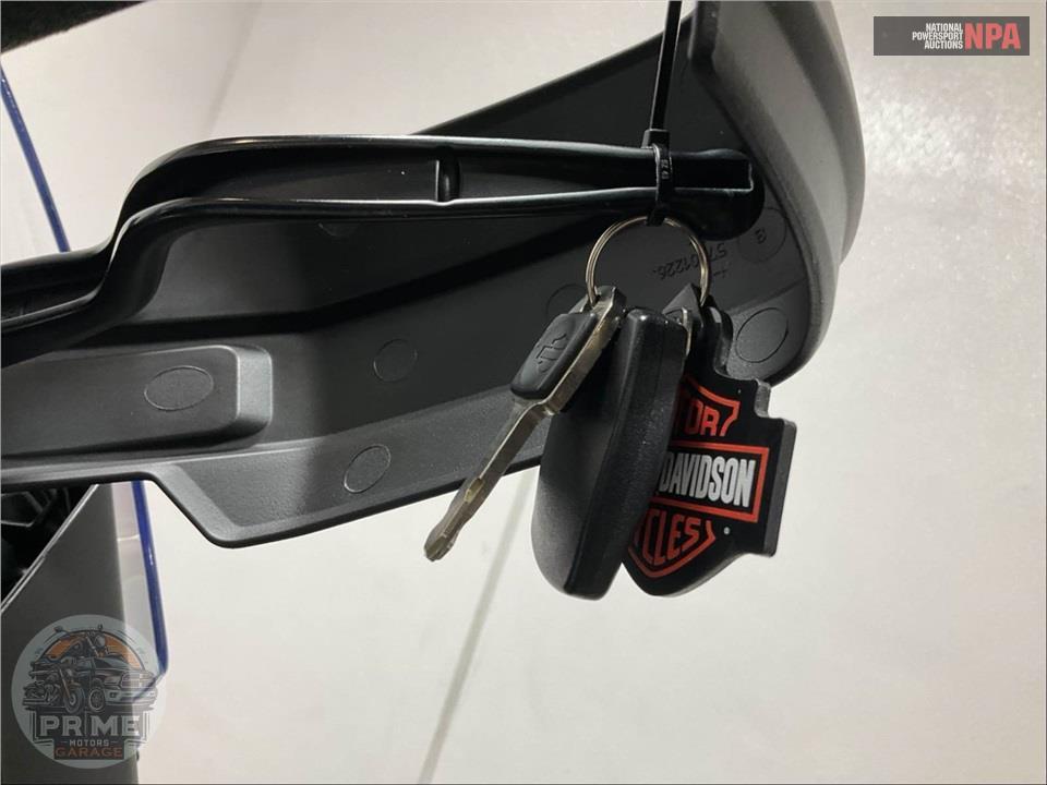 2022 Harley-Davidson RA1250S PAN AMERICA 1250 SPECIAL — фото 11