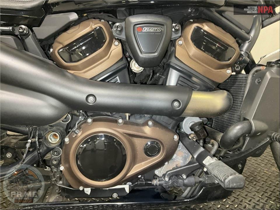 2024 Harley-Davidson RH1250S SPORTSTER S — фото 6