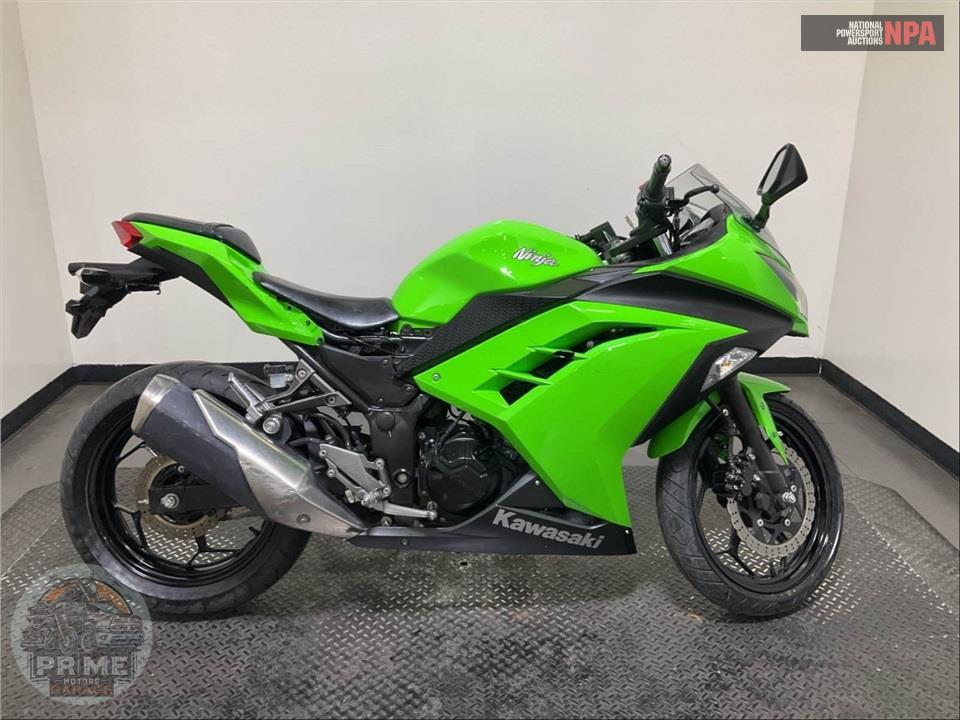 2015 Kawasaki EX300AFF Ninja 300 SOLID — фото 1