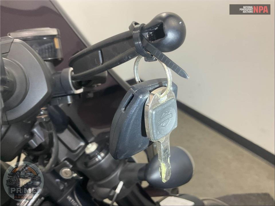 2025 Harley-Davidson RH1250S SPORTSTER S — фото 12