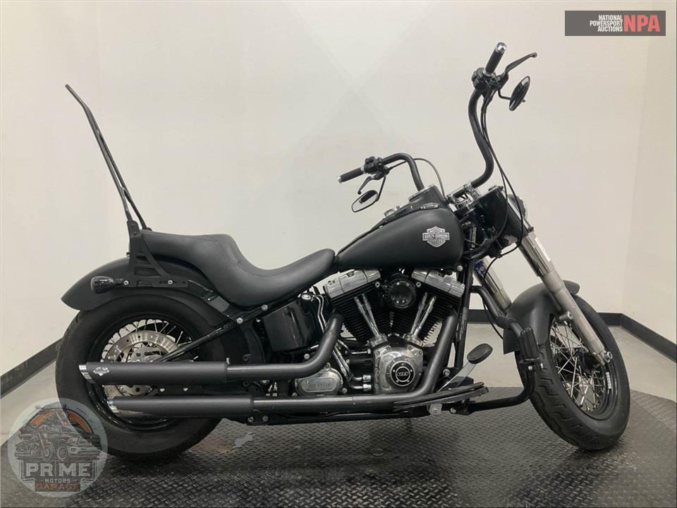 2013 Harley-Davidson FLS SOFTAIL SLIM — фото 1