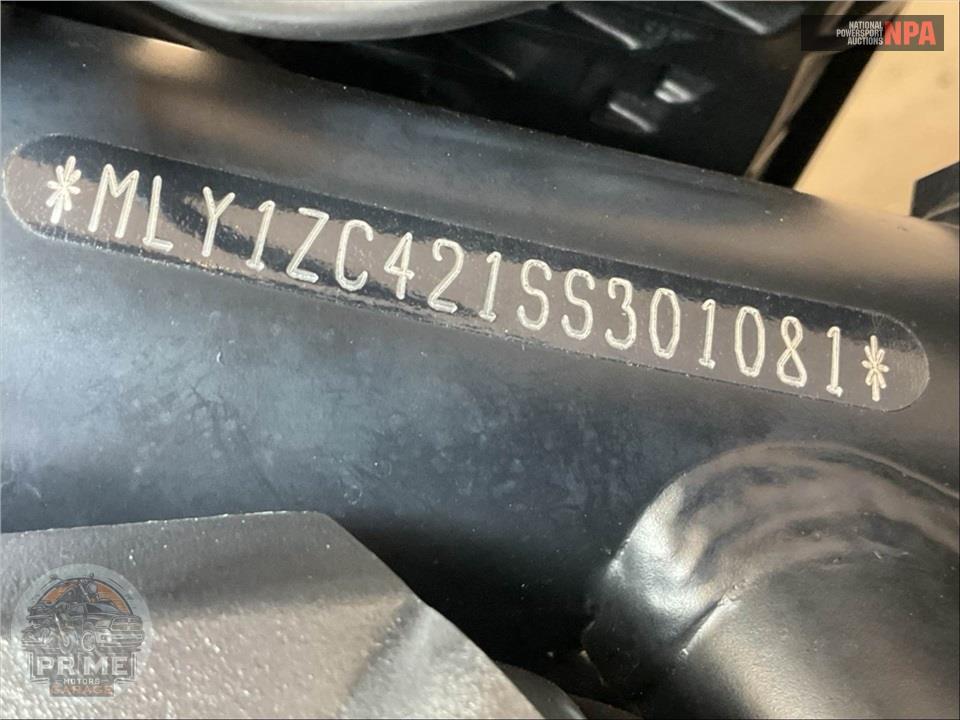 2025 Harley-Davidson RH1250S SPORTSTER S — фото 19