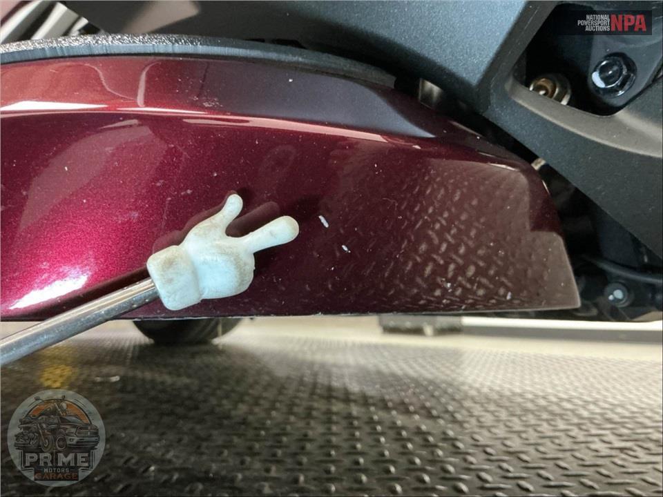 2025 Honda GOLD WING TOUR AUTOMATIC DCT 50TH ANNIVERSARY — фото 14