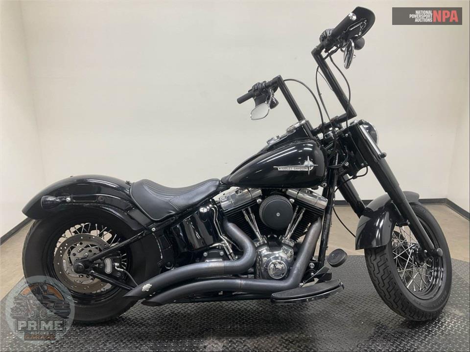 2014 Harley-Davidson FLS SOFTAIL SLIM — фото 1