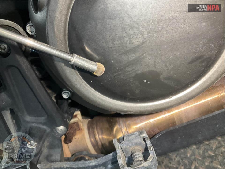 2021 Harley-Davidson RA1250S PAN AMERICA SPECIAL — фото 10