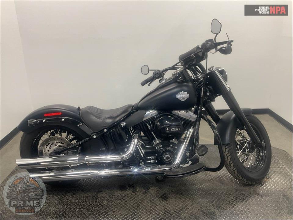 2016 Harley-Davidson FLS SOFTAIL SLIM — фото 1